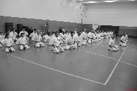 Sensei Terry Birkett 4. Dan küzdő szemináriuma a Seishin Dojoban