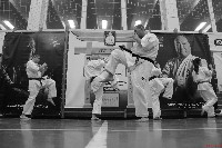Sensei Terry Birkett 4. Dan küzdő szemináriuma a Seishin Dojoban