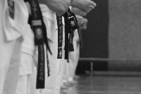 Sensei Terry Birkett 4. Dan küzdő szemináriuma a Seishin Dojoban
