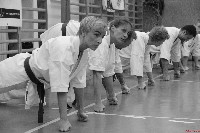 Sensei Terry Birkett 4. Dan küzdő szemináriuma a Seishin Dojoban