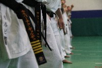 Sensei Terry Birkett 4. Dan küzdő szemináriuma a Seishin Dojoban