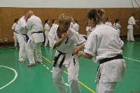 Sensei Terry Birkett 4. Dan küzdő szemináriuma a Seishin Dojoban