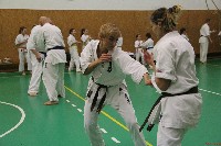 Sensei Terry Birkett 4. Dan küzdő szemináriuma a Seishin Dojoban