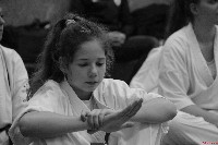 Sensei Terry Birkett 4. Dan küzdő szemináriuma a Seishin Dojoban