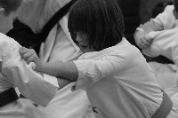 Sensei Terry Birkett 4. Dan küzdő szemináriuma a Seishin Dojoban