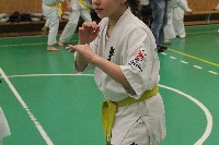 Sensei Terry Birkett 4. Dan küzdő szemináriuma a Seishin Dojoban