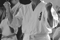 Sensei Terry Birkett 4. Dan küzdő szemináriuma a Seishin Dojoban