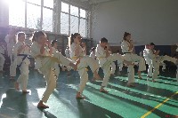 Sensei Terry Birkett 4. Dan küzdő szemináriuma a Seishin Dojoban