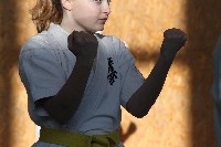 Sensei Terry Birkett 4. Dan küzdő szemináriuma a Seishin Dojoban
