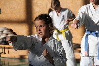 Sensei Terry Birkett 4. Dan küzdő szemináriuma a Seishin Dojoban