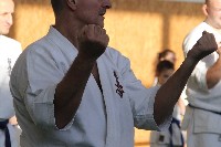 Sensei Terry Birkett 4. Dan küzdő szemináriuma a Seishin Dojoban