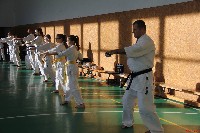 Sensei Terry Birkett 4. Dan küzdő szemináriuma a Seishin Dojoban