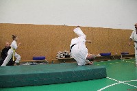 Sensei Terry Birkett 4. Dan küzdő szemináriuma a Seishin Dojoban
