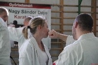 Sensei Terry Birkett 4. Dan küzdő szemináriuma a Seishin Dojoban