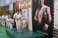 Sensei Terry Birkett 4. Dan küzdő szemináriuma a Seishin Dojoban