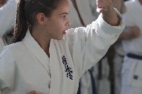 Sensei Terry Birkett 4. Dan küzdő szemináriuma a Seishin Dojoban