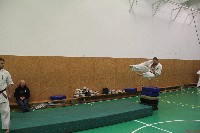 Sensei Terry Birkett 4. Dan küzdő szemináriuma a Seishin Dojoban