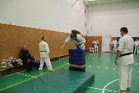 Sensei Terry Birkett 4. Dan küzdő szemináriuma a Seishin Dojoban