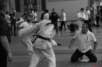 Magyar Karate Szakszövetség Utánpótlás Magyar Bajnokság