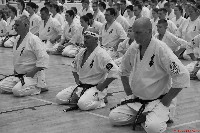 VI. Karate Maraton