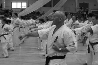 VI. Karate Maraton