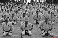 VI. Karate Maraton
