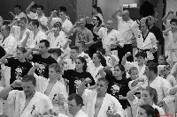 VI. Karate Maraton