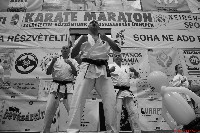 VI. Karate Maraton