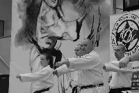 VI. Karate Maraton
