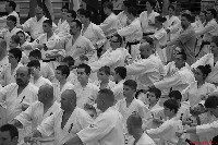 VI. Karate Maraton