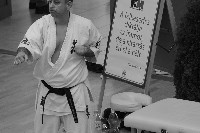 VI. Karate Maraton