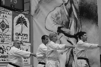 VI. Karate Maraton