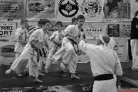 VI. Karate Maraton