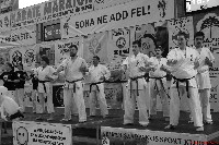 VI. Karate Maraton