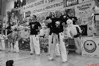 VI. Karate Maraton