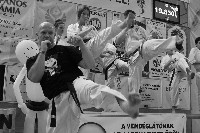 VI. Karate Maraton