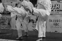 VI. Karate Maraton