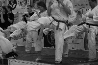 VI. Karate Maraton