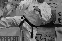VI. Karate Maraton