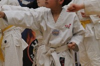 VI. Karate Maraton