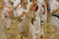 VI. Karate Maraton