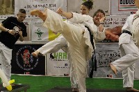 VI. Karate Maraton