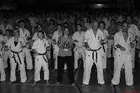 VI. Karate Maraton