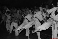 VI. Karate Maraton