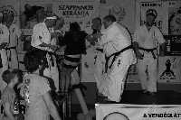 VI. Karate Maraton
