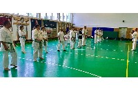 VII. Bódi „The Legend” Szeminárium a Seishin Sportegyesületben