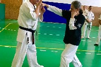 VII. Bódi „The Legend” Szeminárium a Seishin Sportegyesületben