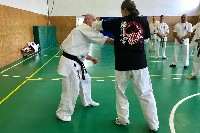 VII. Bódi „The Legend” Szeminárium a Seishin Sportegyesületben