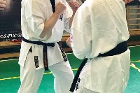 VII. Bódi „The Legend” Szeminárium a Seishin Sportegyesületben