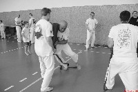 VII. Bódi „The Legend” Szeminárium a Seishin Sportegyesületben
